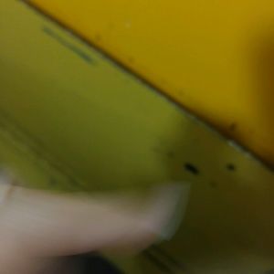 Meet your Posher, Adrie